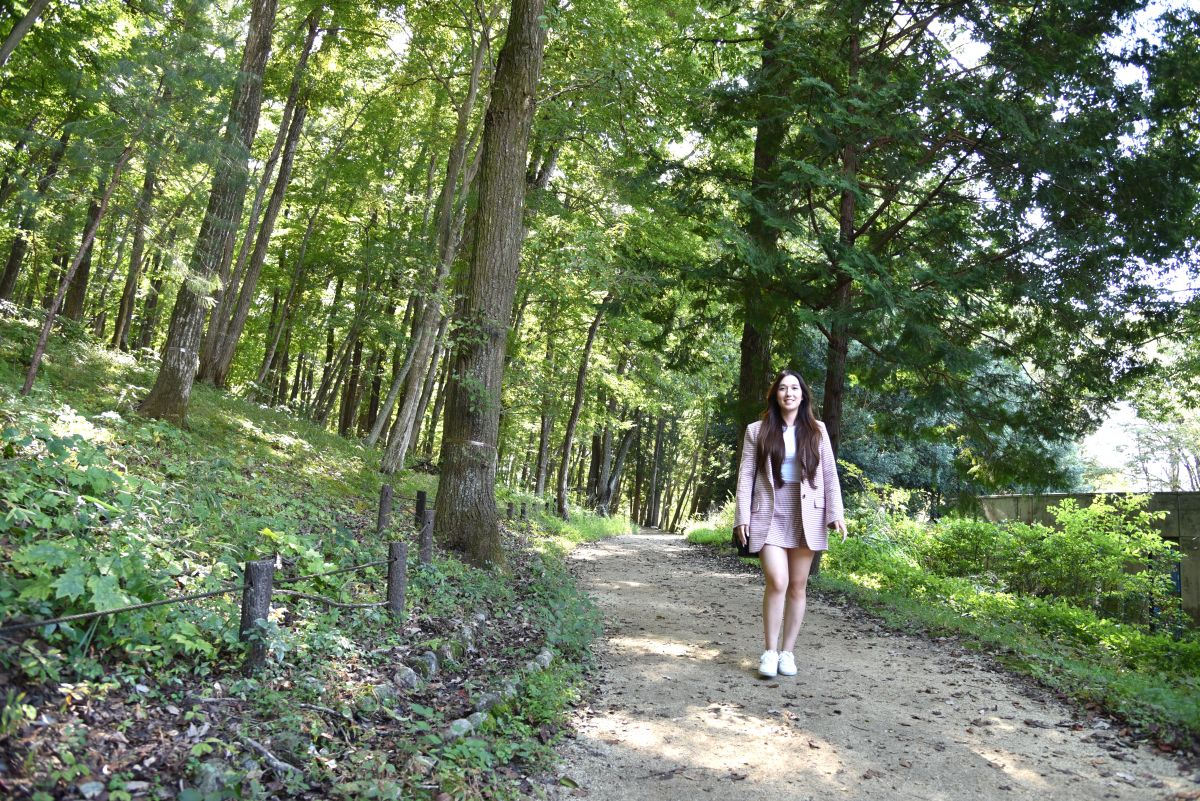 木漏れ日が降り注ぐ散歩道